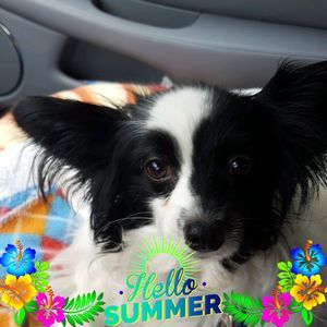 Meet your Posher, Jens